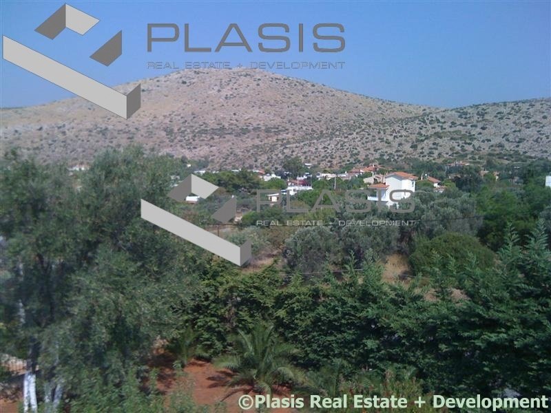 House in Palea Fokea, Attica, Greece 1 - 15310532