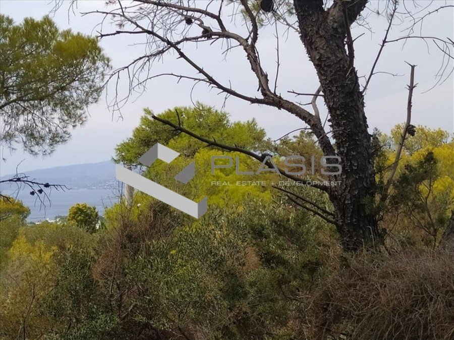 Land in Saronida, Attica, Greece 2 - 15731347