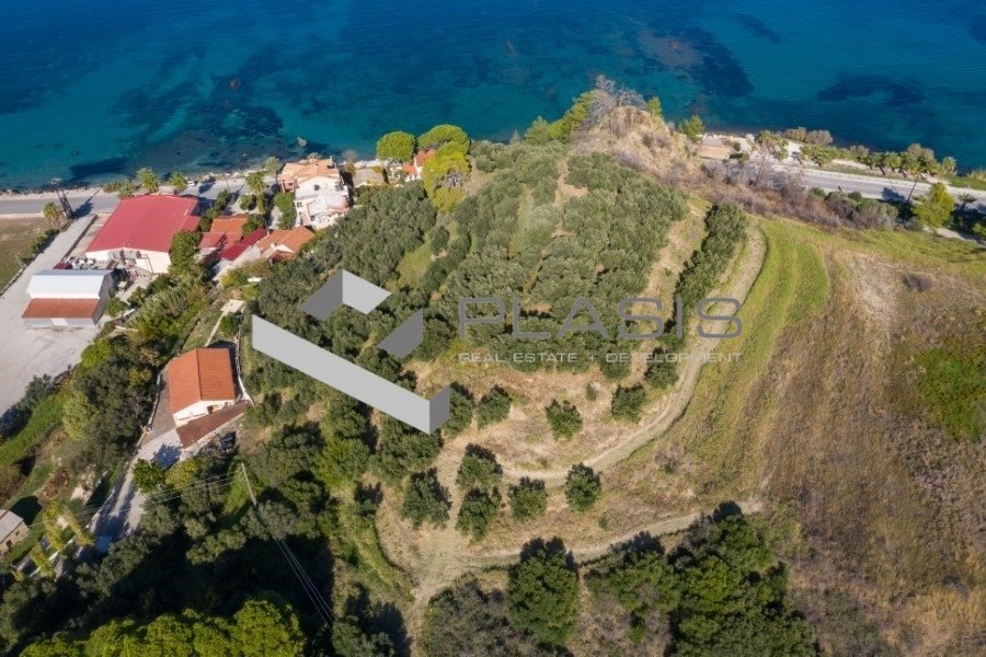 Land in Argasiou, Peloponnese, Western Greece and the Ionian, Greece 2 - 15729417