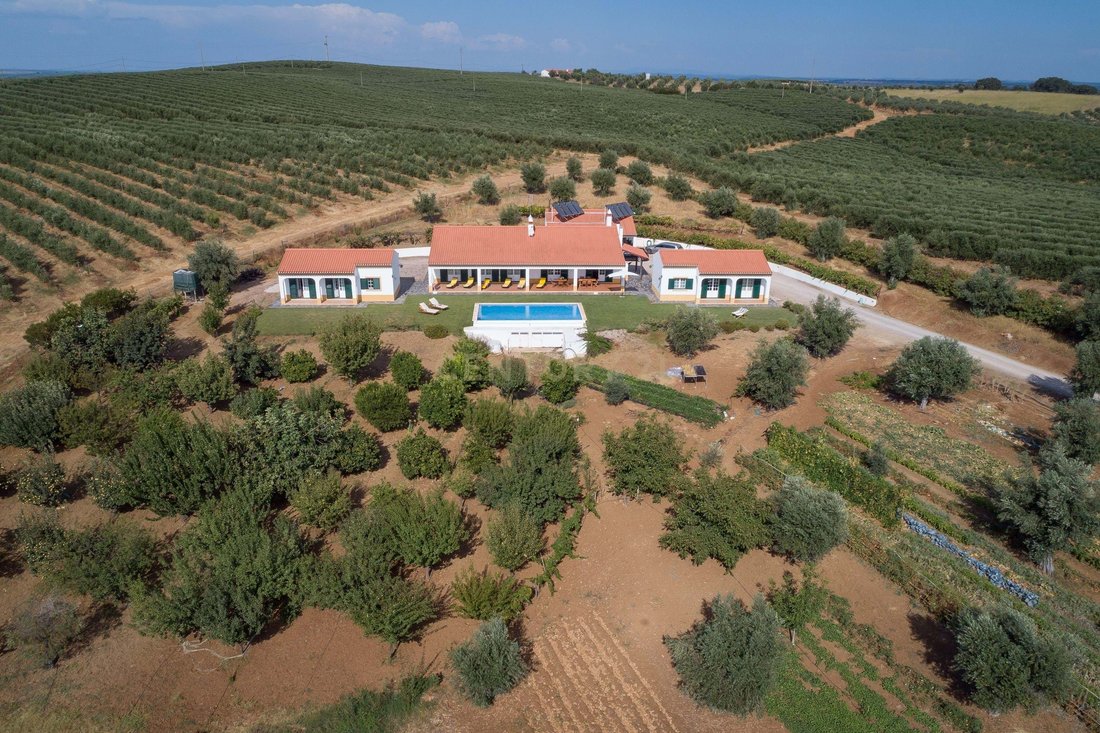 Farm Ranch in Avis, Portalegre District, Portugal 1 - 16733965