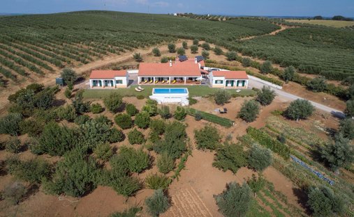 Azienda agricola a Avis, Distretto di Portalegre, Portogallo 1