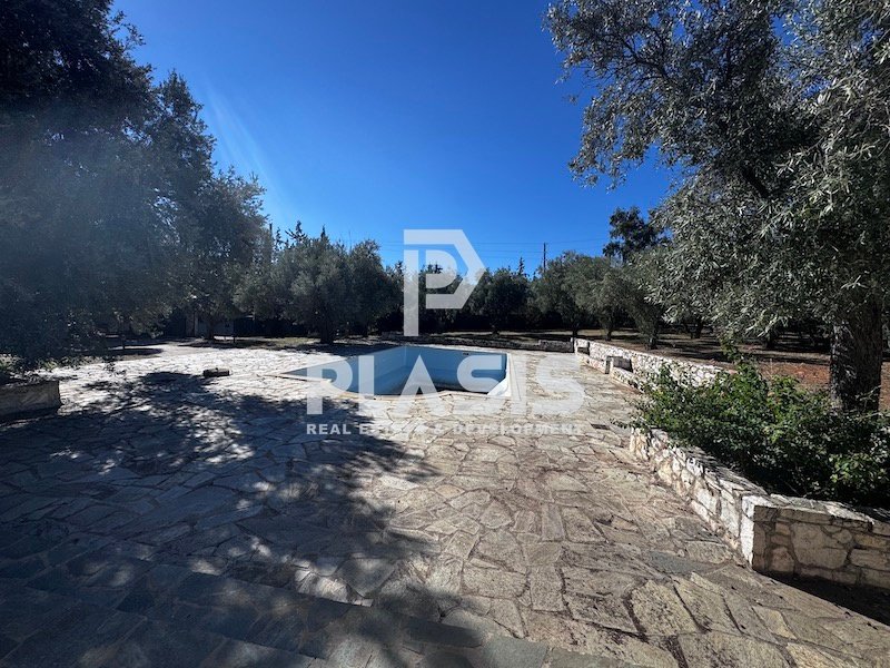 House in Paiania, Attica, Greece 1 - 15855226