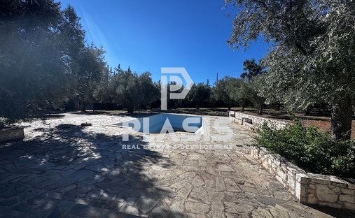 House in Paiania, Attica, Greece 1