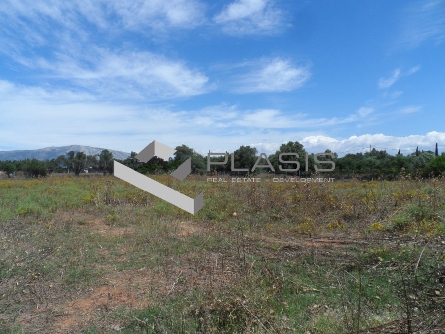 Land in Kropia, Attica, Greece 2 - 15052413