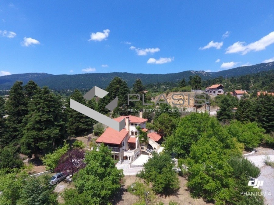 Condo in Arachova, Thessaly and Central Greece, Greece 1 - 15729591