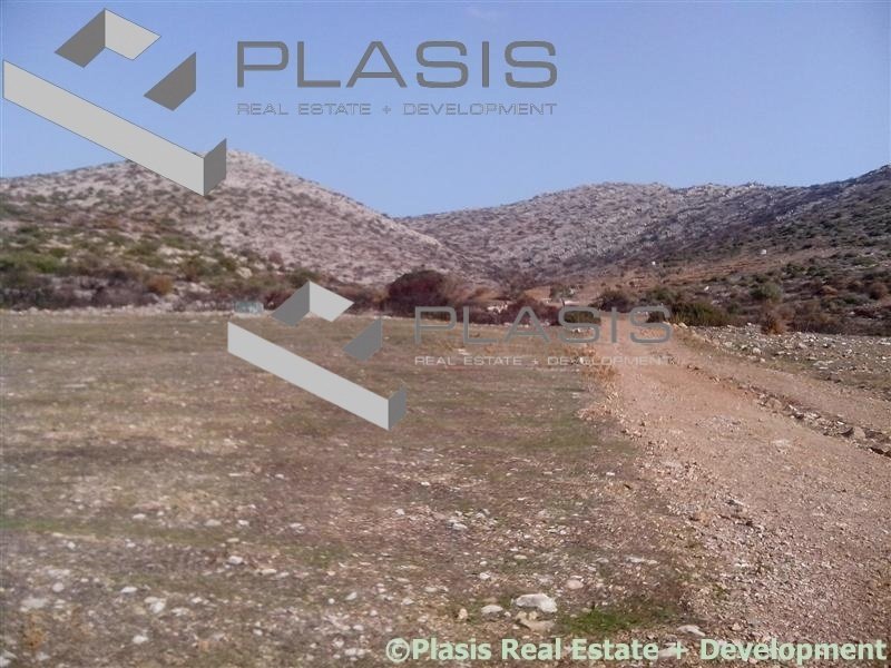 Land in Palea Fokea, Attica, Greece 2 - 15731911