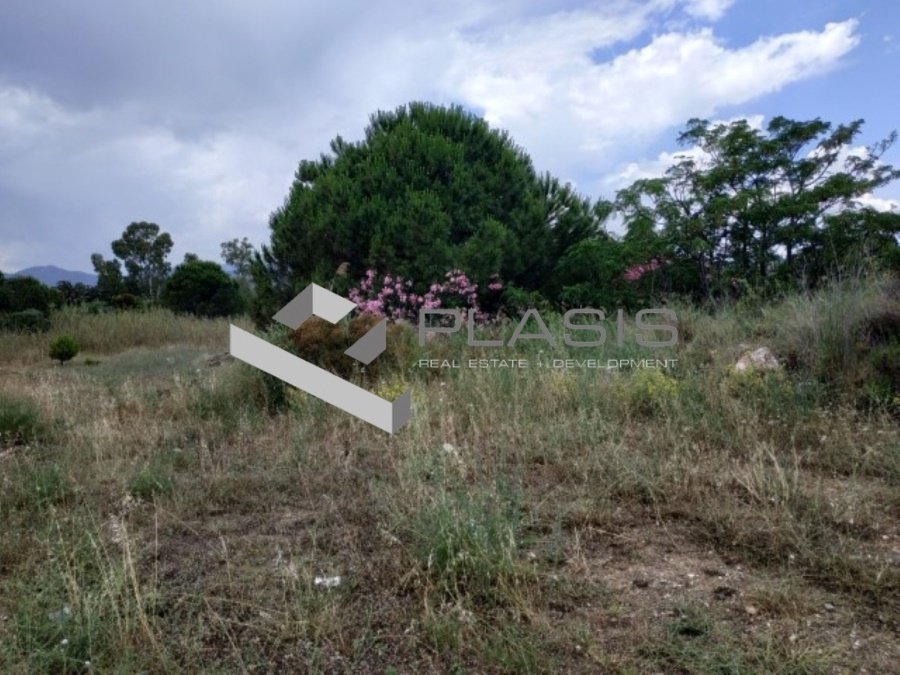Land in Marathonas, Attica, Greece 3 - 15737292