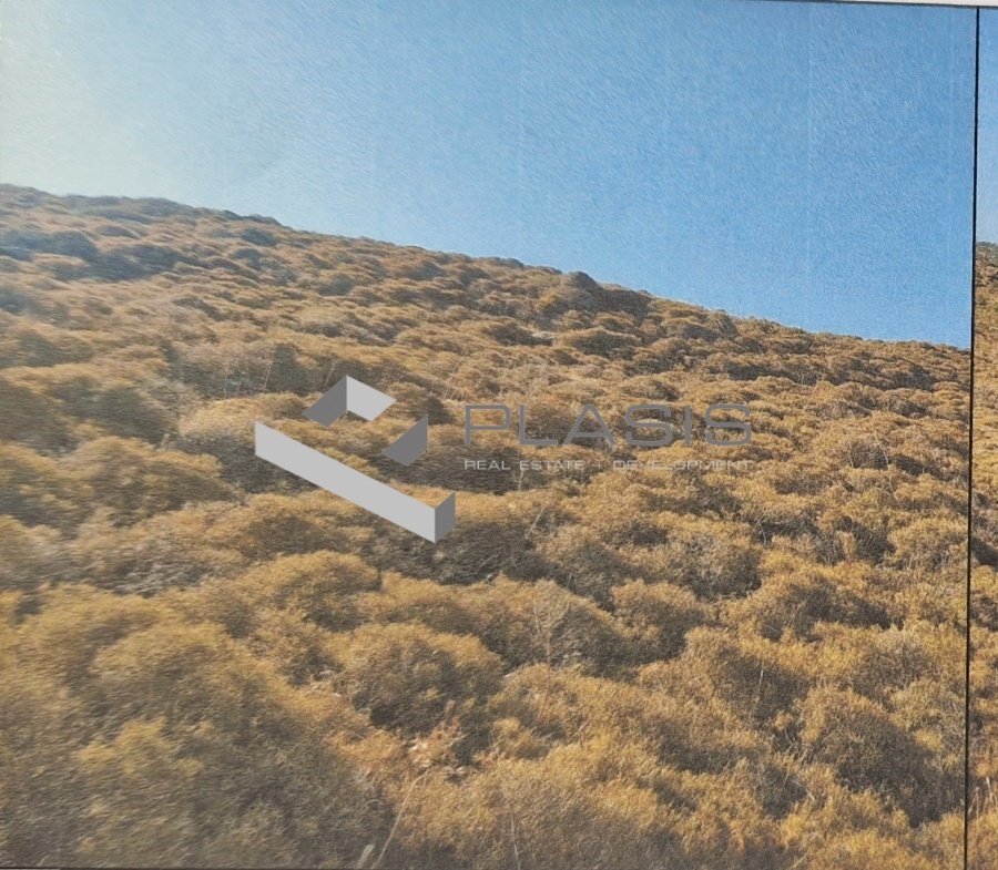 Land in Andros, Aegean, Greece 1 - 15731019