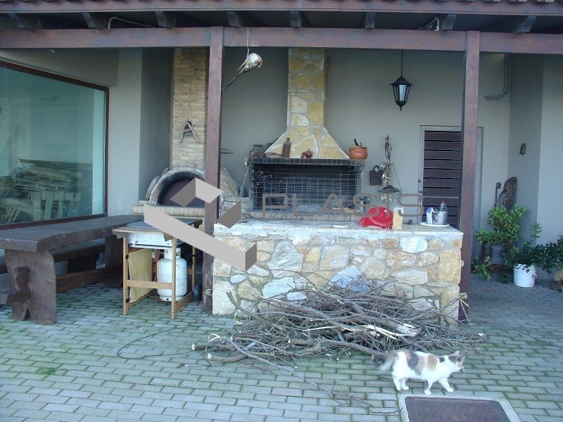 House in Marathonas, Attica, Greece 1 - 15104843