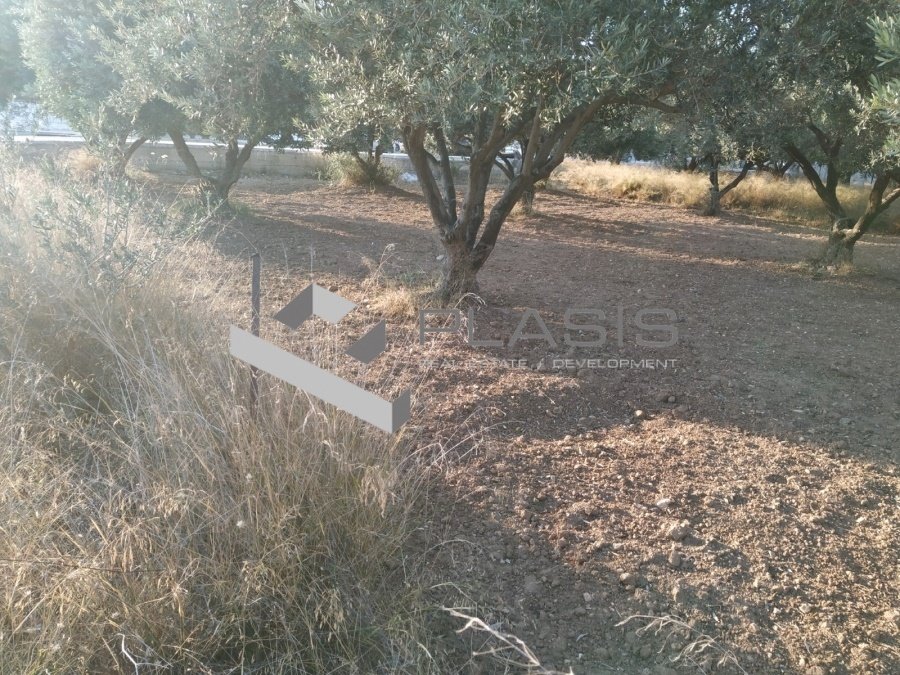 Land in Kalyvia Thorikou, Attica, Greece 2 - 15737278