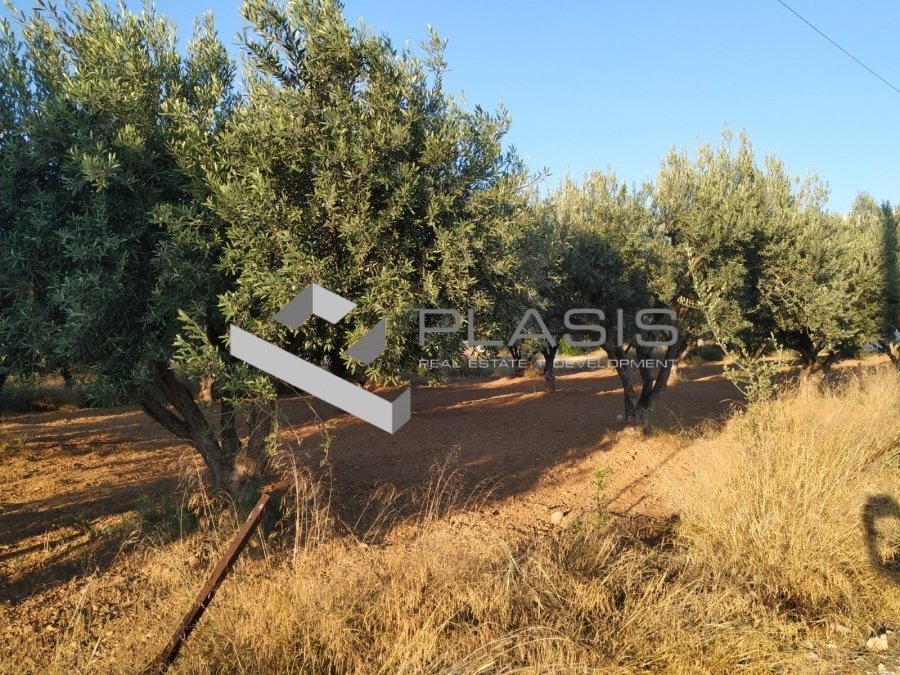 Land in Kalyvia Thorikou, Attica, Greece 1 - 15737278