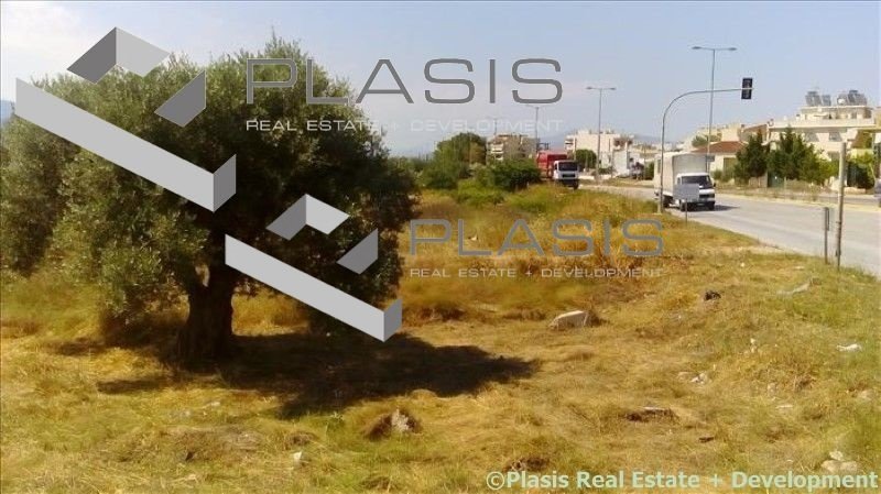 Land in Markopoulo Mesogaias, Attica, Greece 4 - 15731676