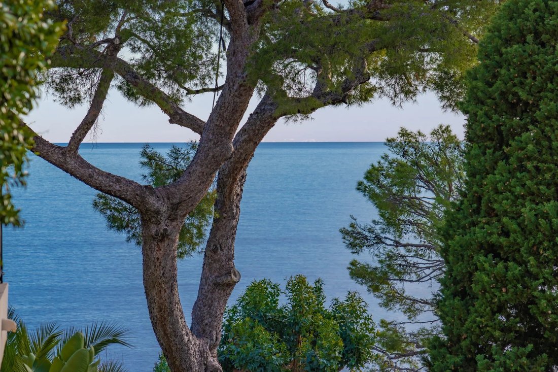Apartment in Cap-d'Ail, Provence-Alpes-Côte d'Azur, France 2 - 16735917