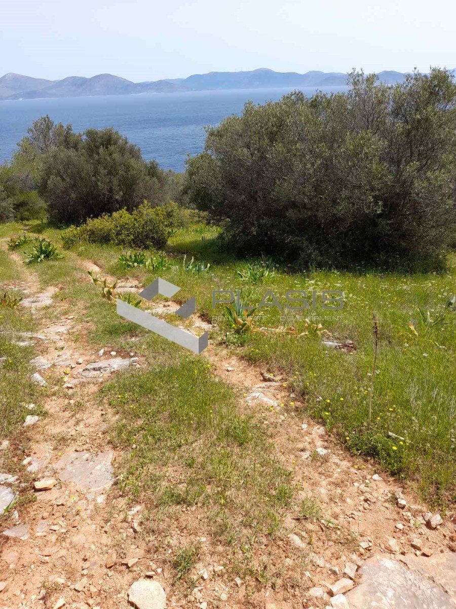Land in Marathonas, Attica, Greece 1 - 16139081