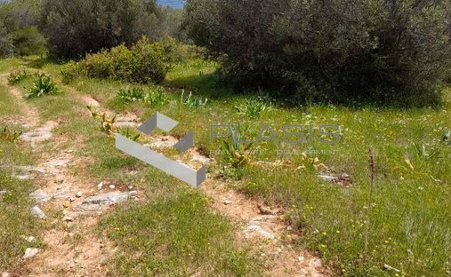 Land in Marathonas, Attica, Greece 1