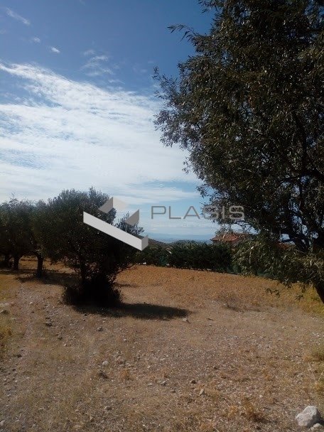 Land in Kalyvia Thorikou, Attica, Greece 2 - 15731886