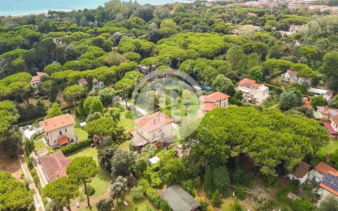 Villa in Marina di Massa Centro, Massa, Italy 3 - 16731626