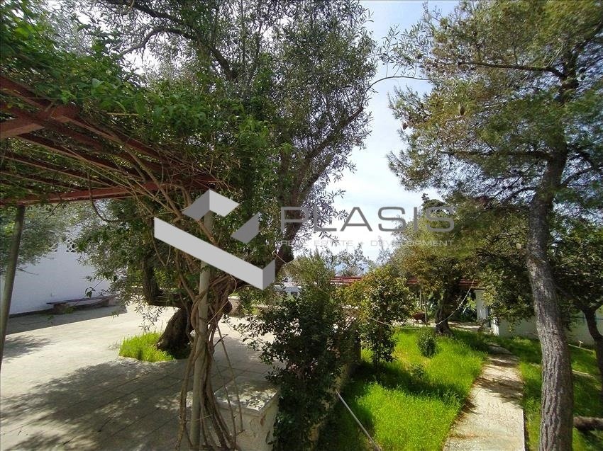 House in Saronida, Attica, Greece 3 - 15187547
