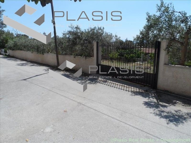 Land in Anavissos, Attica, Greece 1 - 15731667
