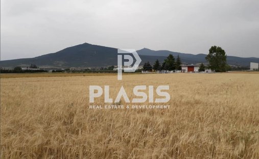 Land in Central Macedonia, Macedonia and Thrace, Greece 1