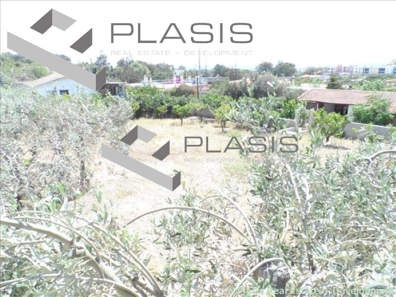 Land in Anavissos, Attica, Greece 2 - 15731667