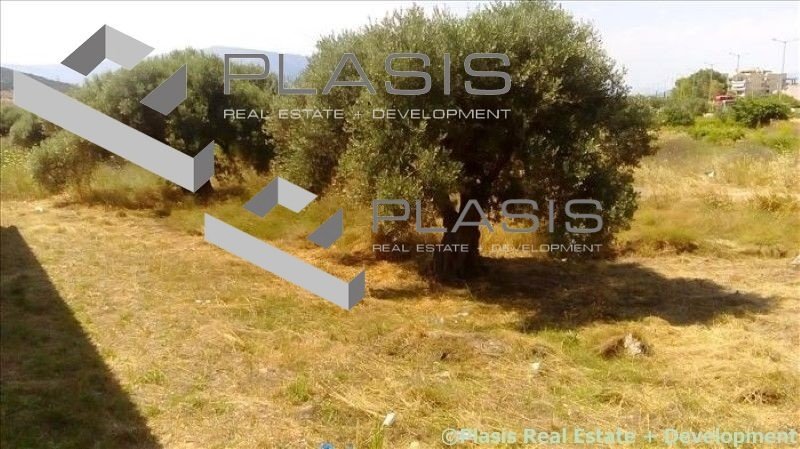 Land in Markopoulo Mesogaias, Attica, Greece 2 - 15731676