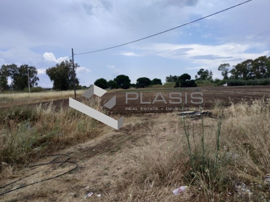 Land in Marathonas, Attica, Greece 5 - 15737292