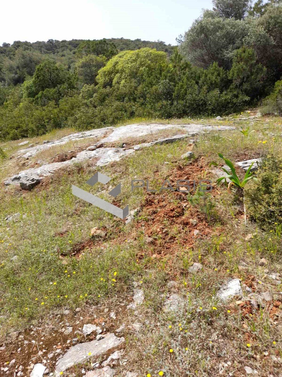 Land in Marathonas, Attica, Greece 2 - 16139081