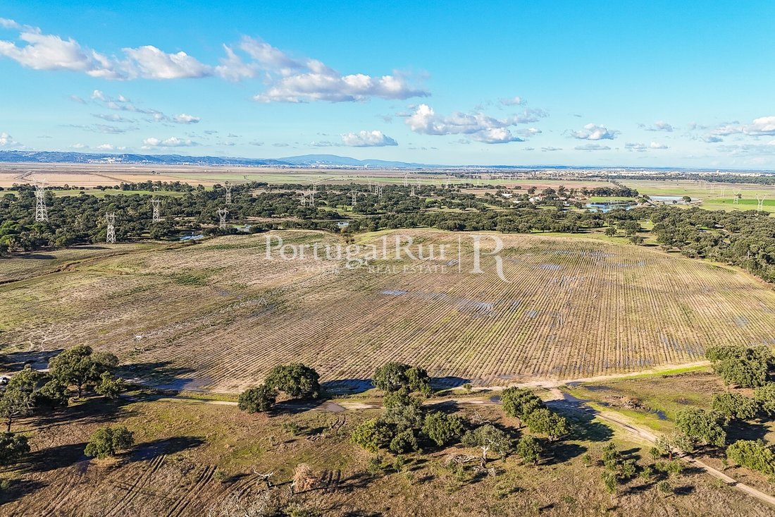 Terrain à Benavente, District de Santarém, Portugal 5 - 16728710