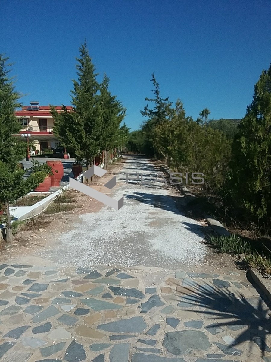 House in Spata-Loutsa, Attica, Greece 4 - 15731263