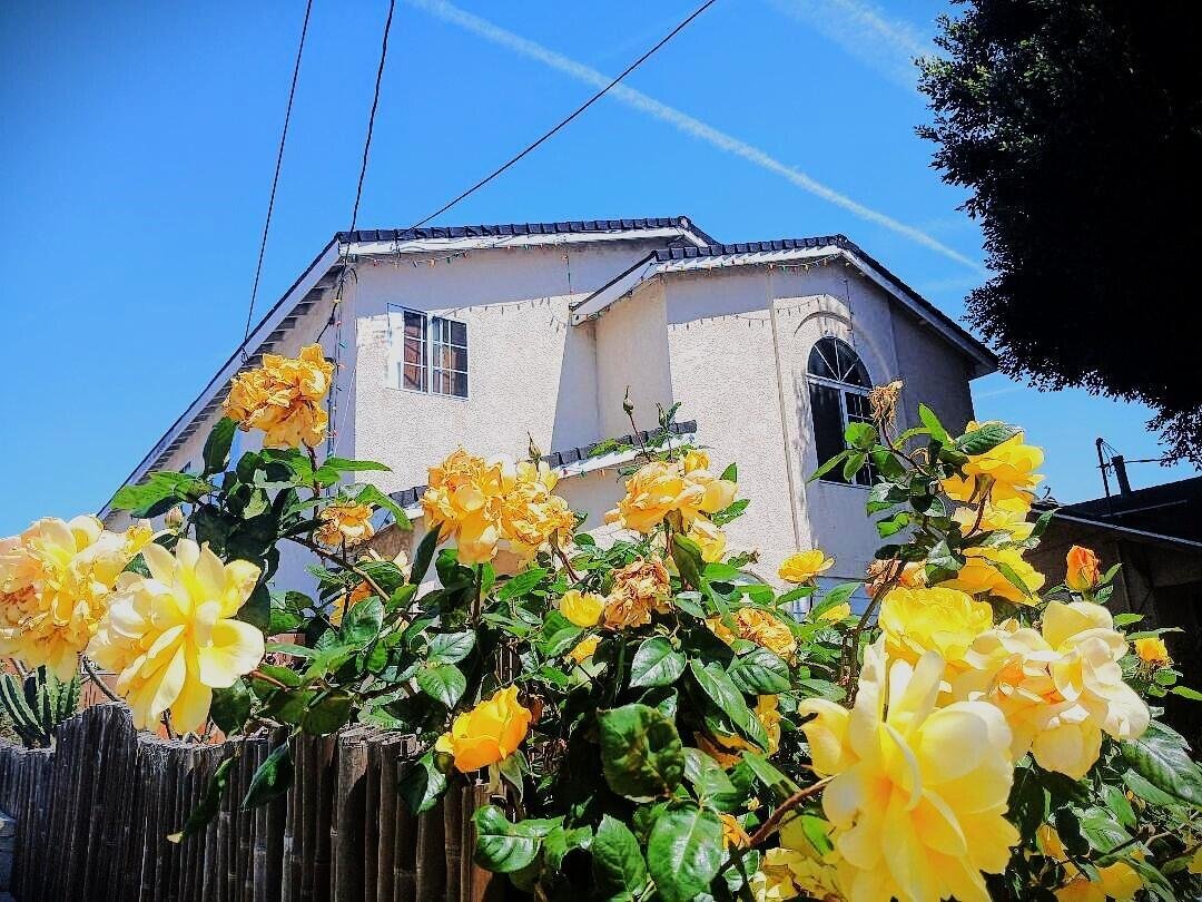 Los Angeles, California, United States 1 - 16731233