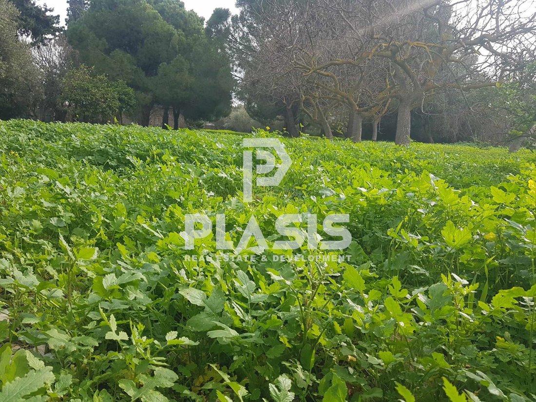 Land in Glyka Nera, Attica, Greece 1 - 15947182