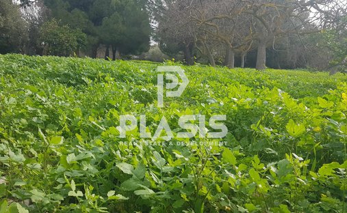 Land in Glyka Nera, Attica, Greece 1