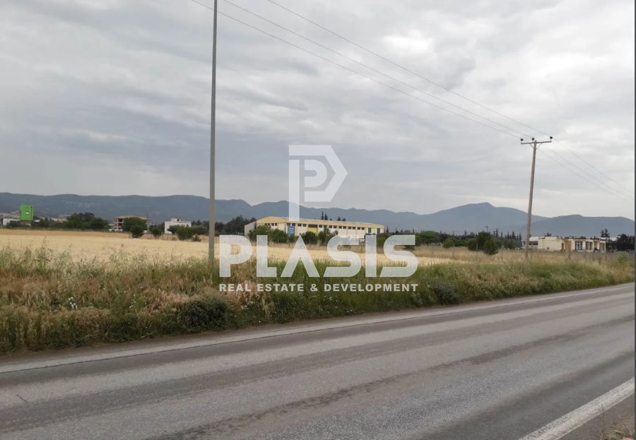 Land in Central Macedonia, Macedonia and Thrace, Greece 3 - 15463639