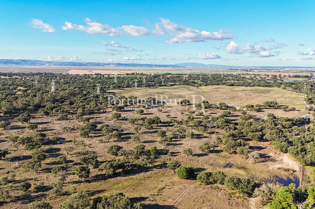 Terrain à Benavente, District de Santarém, Portugal 4 - 16728710