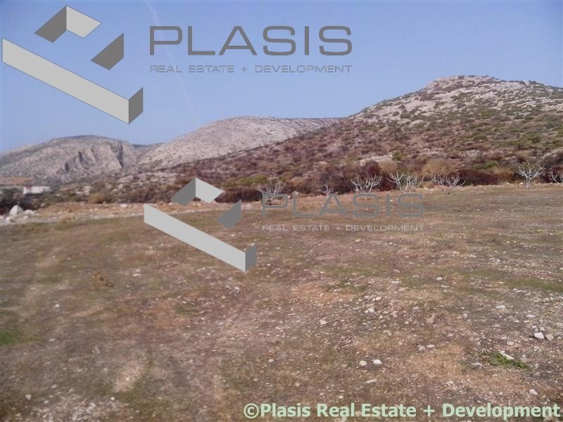 Land in Palea Fokea, Attica, Greece 4 - 15731911