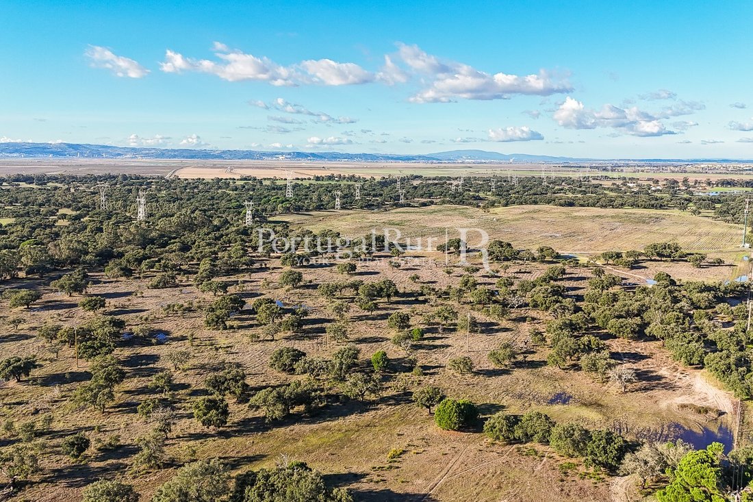Terrain à Benavente, District de Santarém, Portugal 1 - 16728710