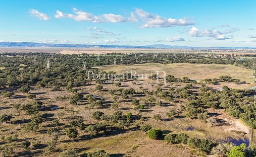 Terreno a Samora Correia, Distretto di Santarém, Portogallo 1
