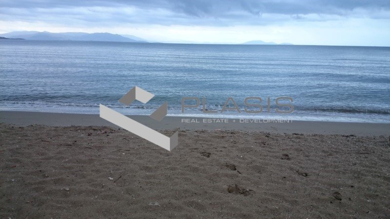 House in Volos, Thessaly and Central Greece, Greece 5 - 15431885