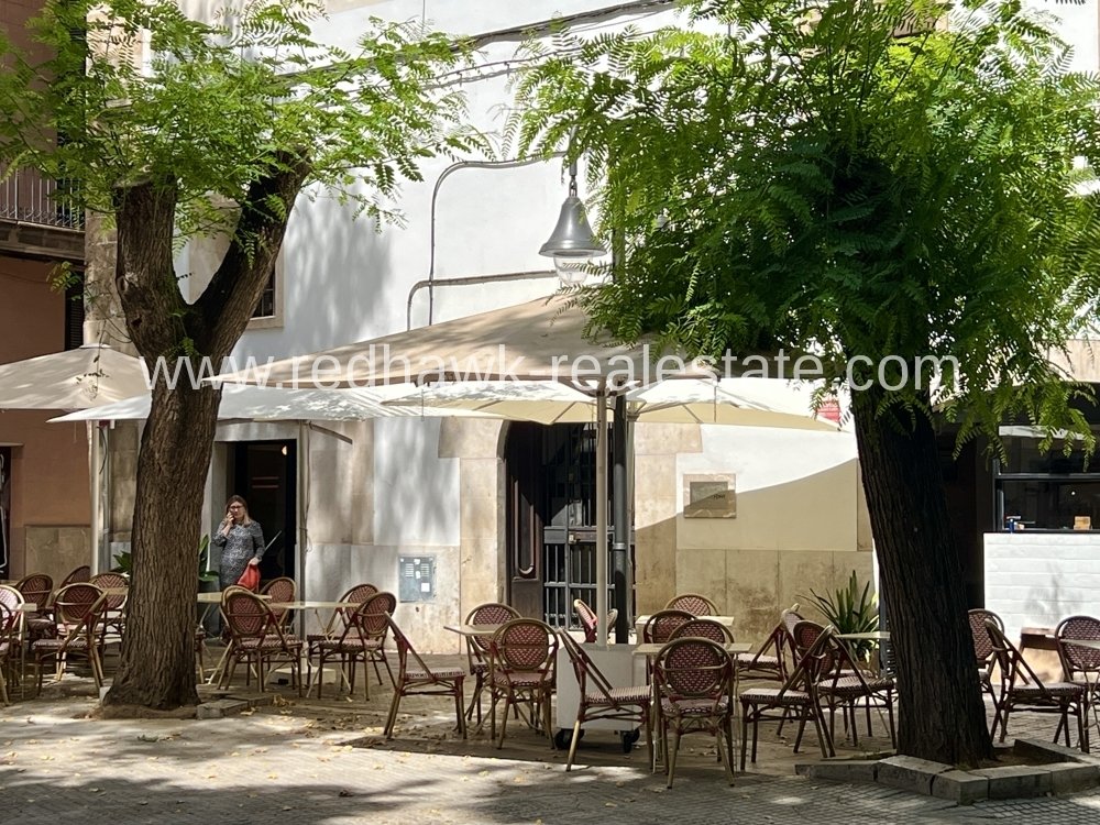Apartment in Palma, Balearic Islands, Spain 4 - 16731318