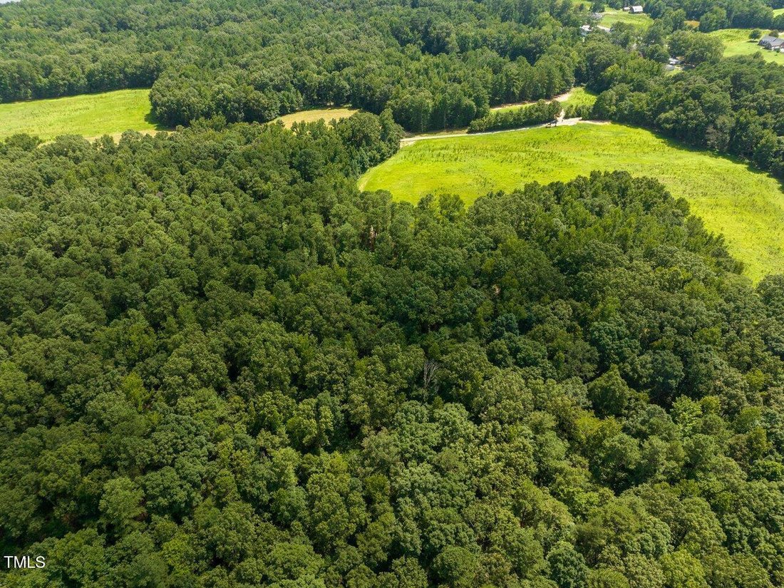 House in Chapel Hill, North Carolina, United States 4 - 16733409