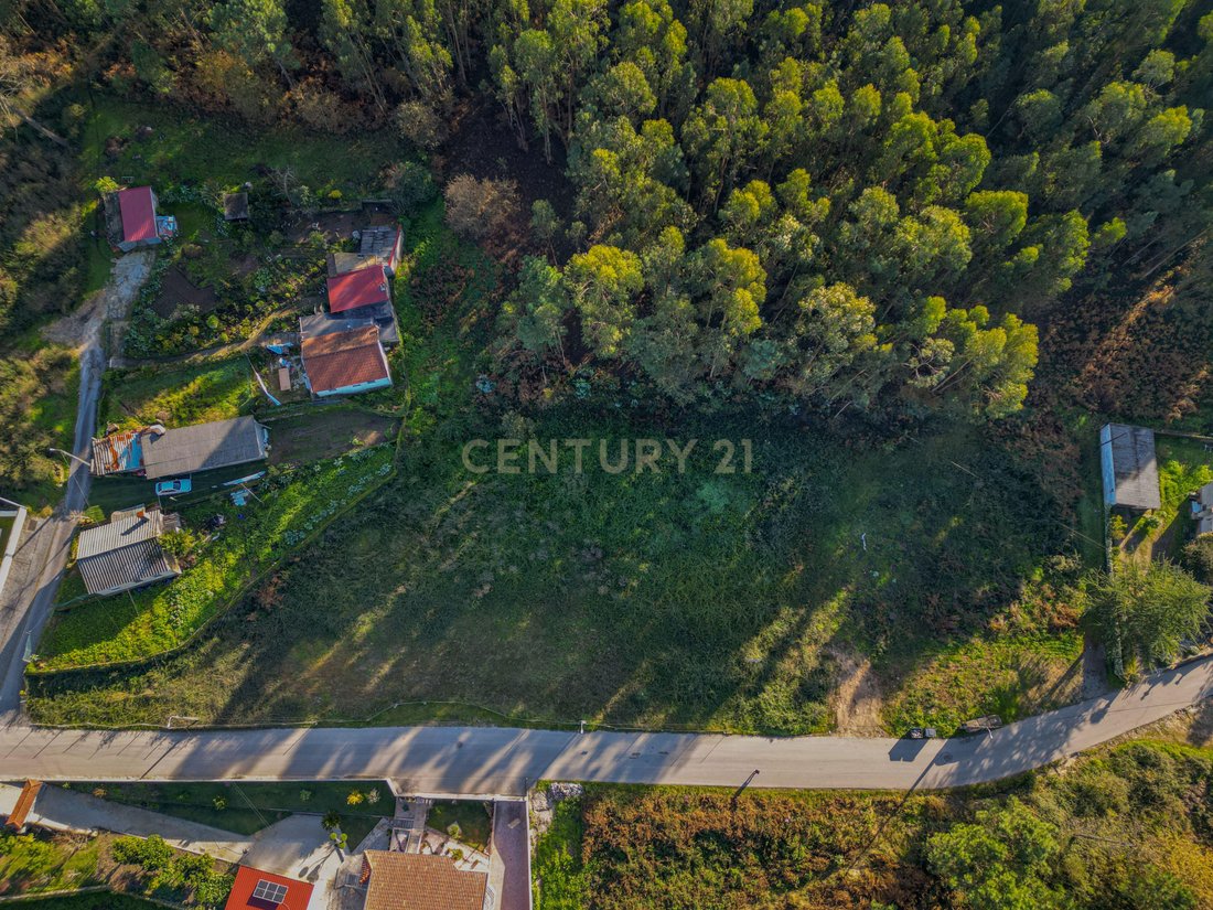 Land in Pousa, Braga, Portugal 3 - 16534963