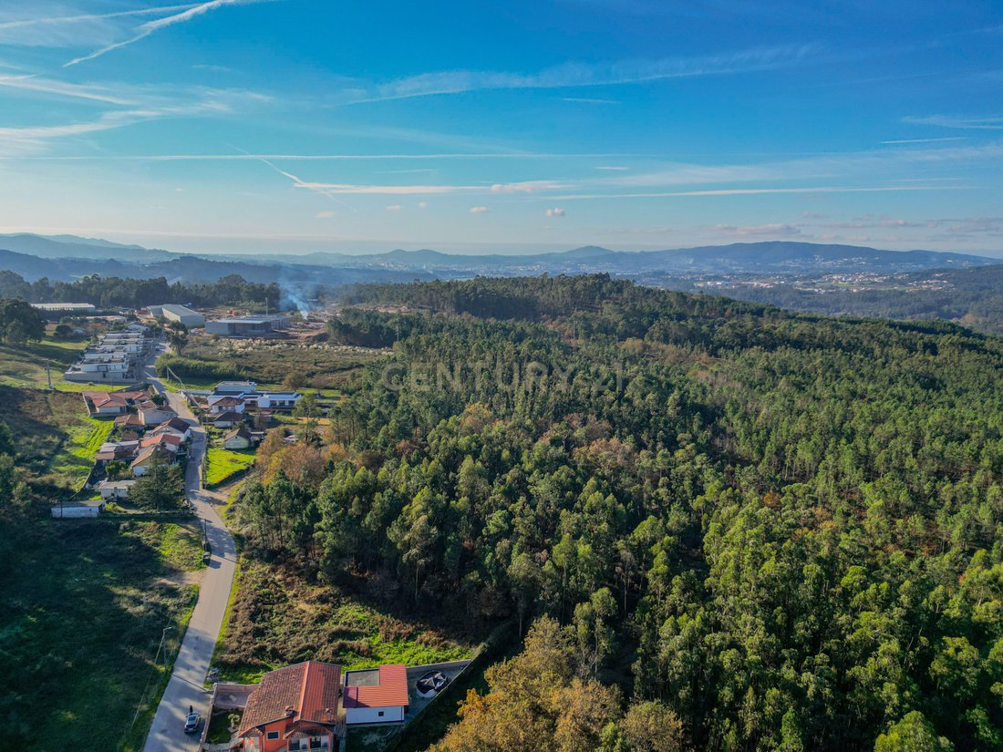 Land in Pousa, Braga, Portugal 4 - 16534963