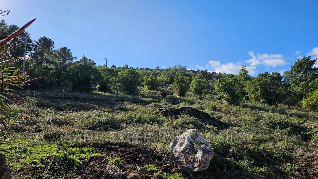Land in Sari-Solenzara, Corsica, France 2 - 16733889
