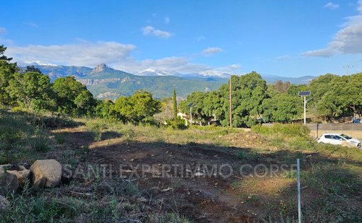 Land in Sari-Solenzara, Corsica, France 1