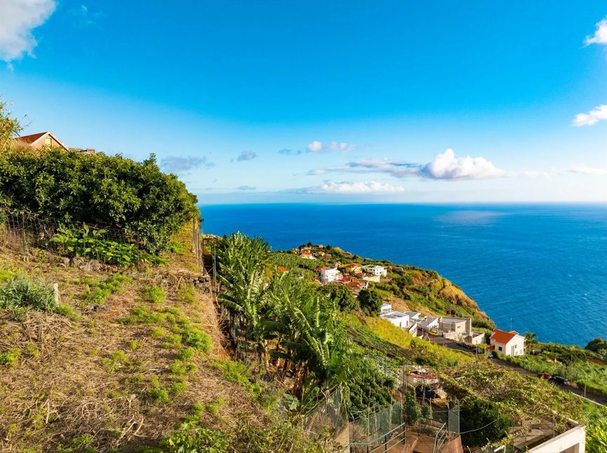 Villa in Canhas, Madeira, Portugal 2 - 16737940