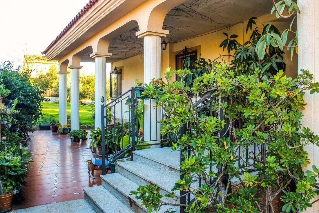 Villa in Cáceres, Extremadura, Spain 3 - 16703925