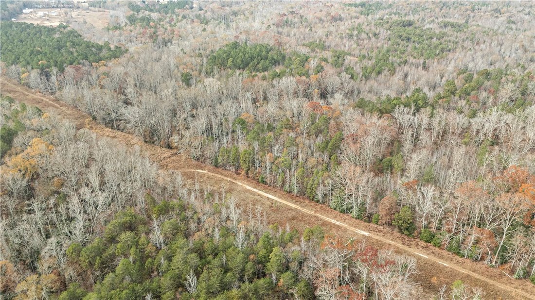Azienda agricola a Belton, Carolina del Sud, Stati Uniti 3 - 16738515