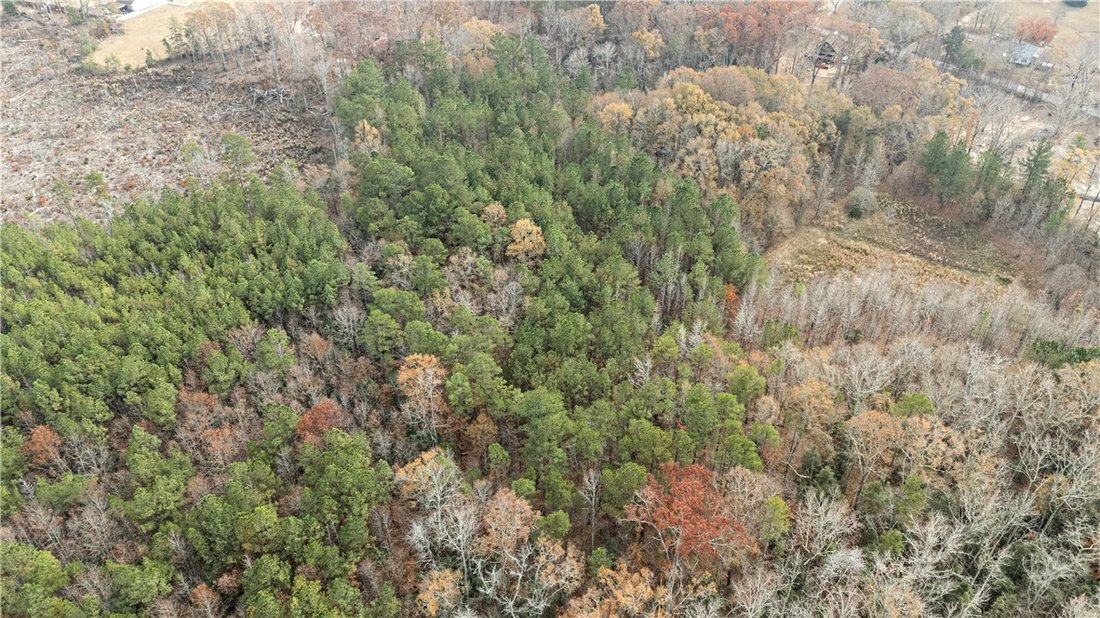 Azienda agricola a Belton, Carolina del Sud, Stati Uniti 4 - 16738515