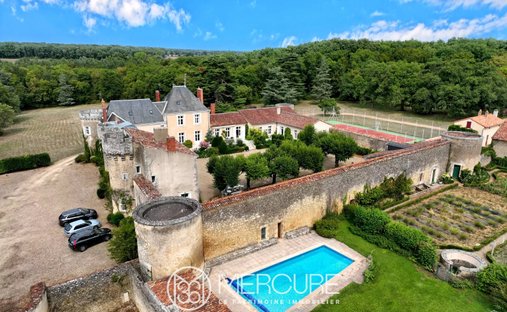 19 Th C. Chateau With Outbuildings And Pool
